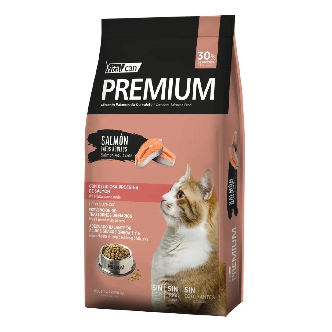 Gatos